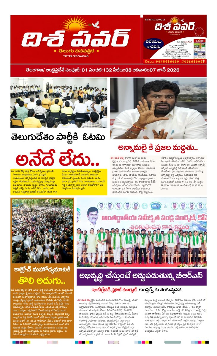 Cover of Dhisa power news