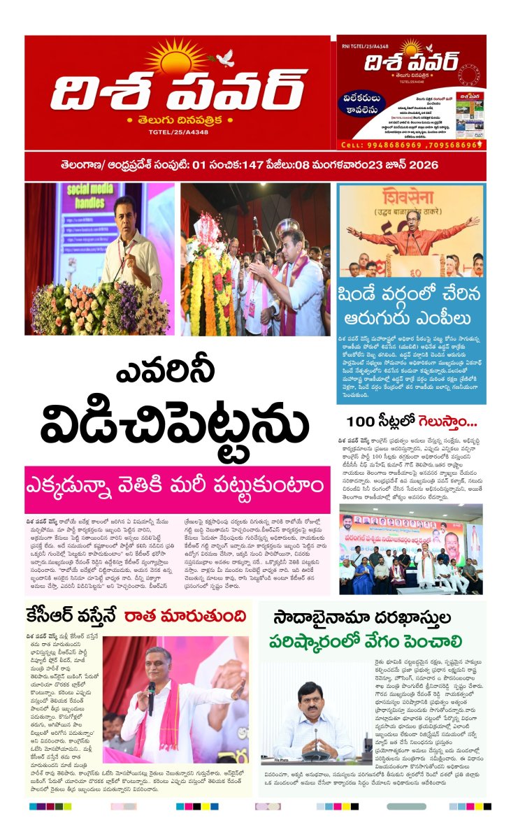 Cover of Dhisa power news