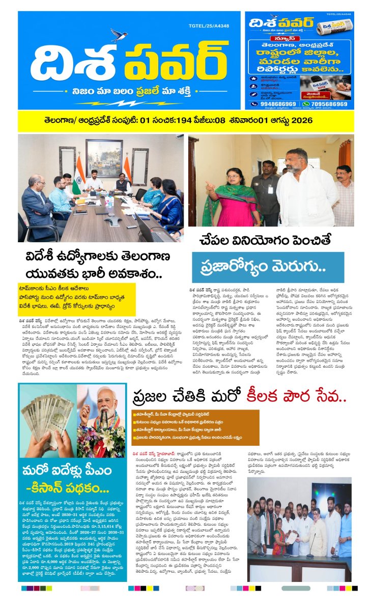Cover of Dhisa power news