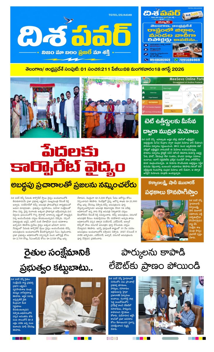 Cover of Dhisa power news