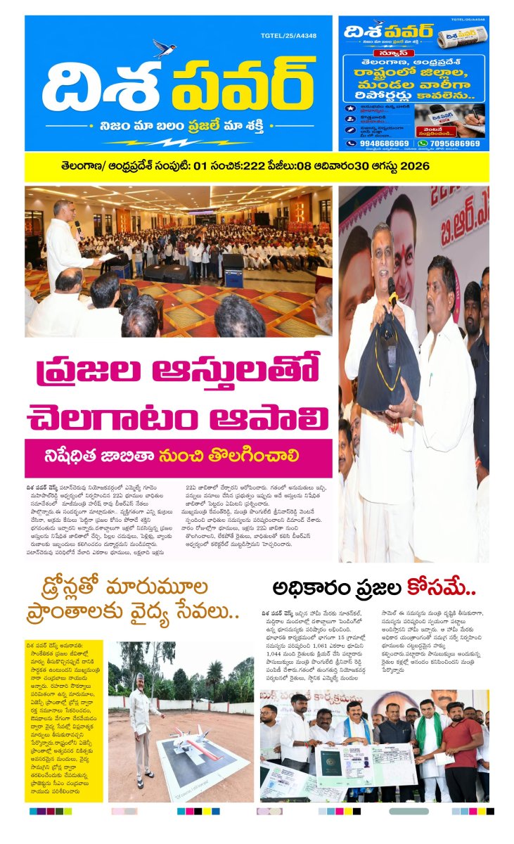 Cover of Dhisa power news