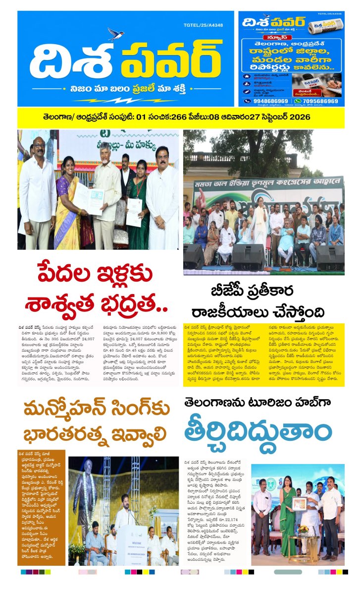 Cover of Dhisa power news
