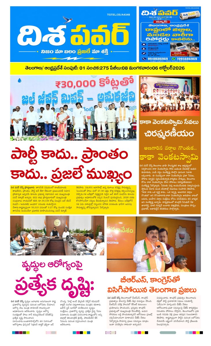 Cover of Dhisa power news