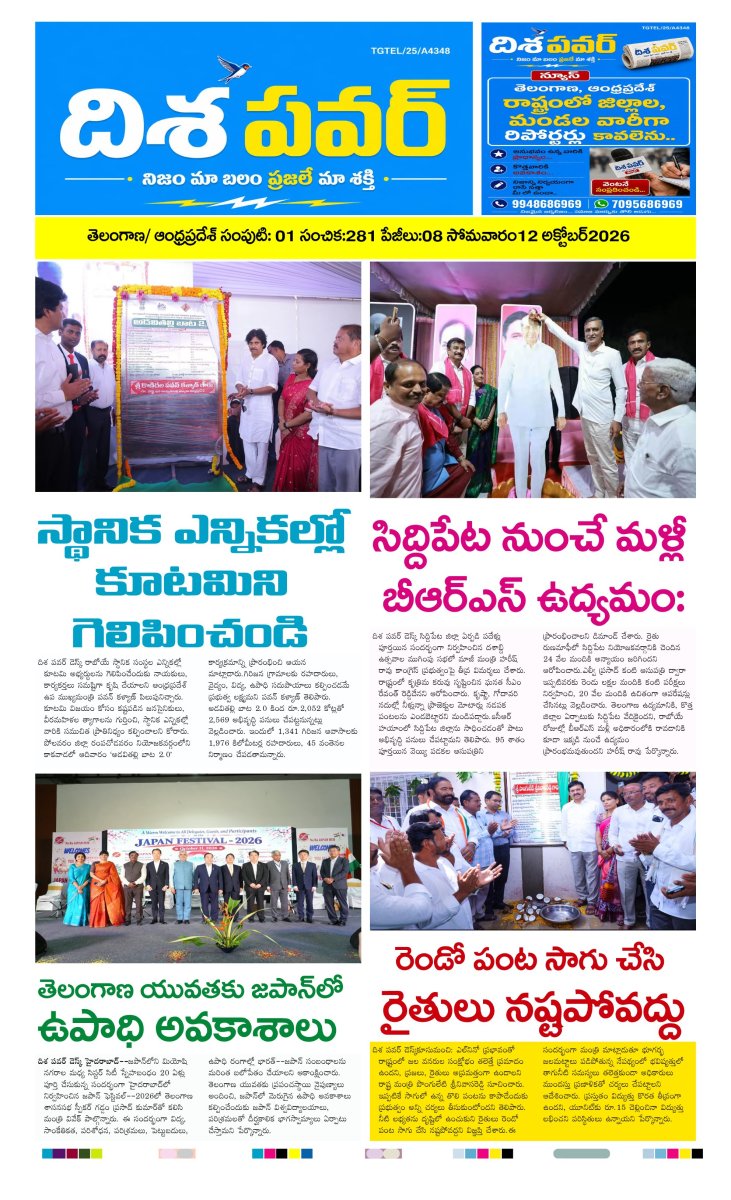 Cover of Dhisa power news
